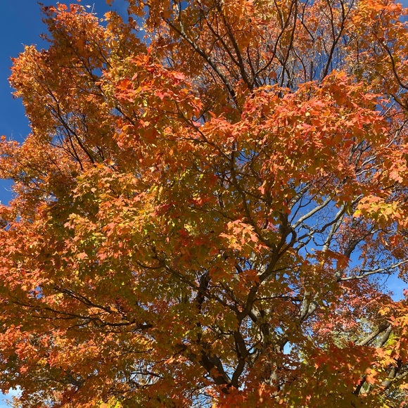 Meet your Posher, Kerstin - Picture 1 of 1